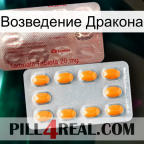 Возведение Дракона new13